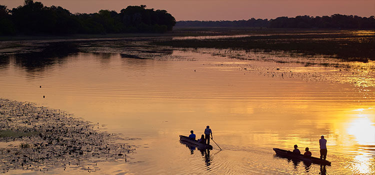 blog-image-9 blog-image-9