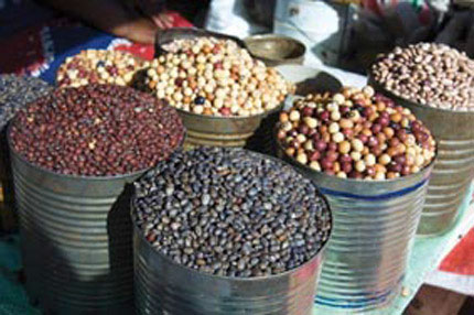 cusinine https://www.hatab.bw/wp-content/uploads/2024/11/cusinine.jpg